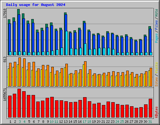 Daily usage for August 2024