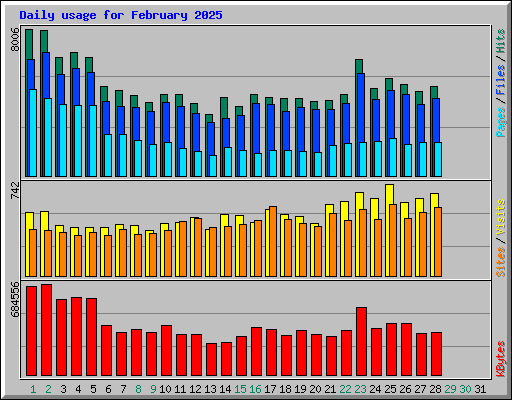 Daily usage for February 2025