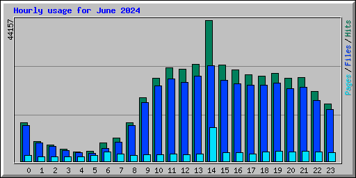Hourly usage for June 2024