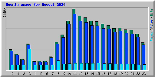 Hourly usage for August 2024
