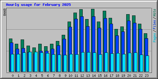 Hourly usage for February 2025