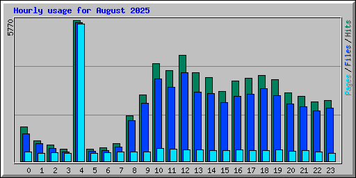 Hourly usage for August 2025